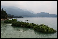 Floating gardens and misty mountains. Sun Moon Lake, Taiwan (color)