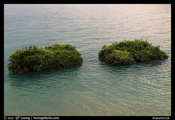 Floating rafts for cultivation. Sun Moon Lake, Taiwan (color)