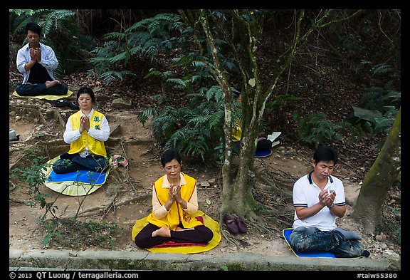 Group meditating in forest. Sun Moon Lake, Taiwan (color)
