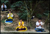 Group meditating in forest. Sun Moon Lake, Taiwan (color)