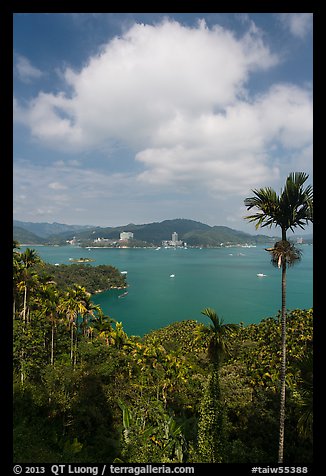 Palms, lake and cloud. Sun Moon Lake, Taiwan (color)