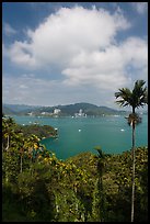 Palms, lake and cloud. Sun Moon Lake, Taiwan ( color)