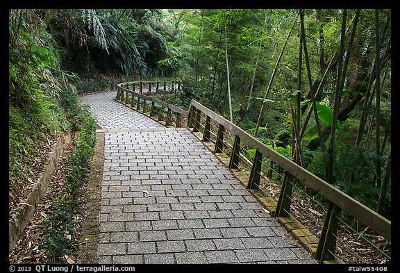 Path on Shabalan Mountain. Sun Moon Lake, Taiwan