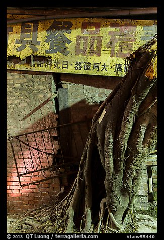 Roots and sign at night. Lukang, Taiwan