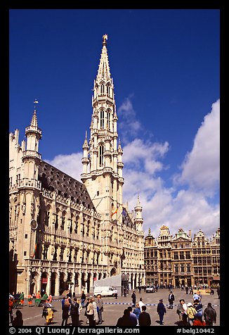 Grand Place and town hall. Brussels, Belgium