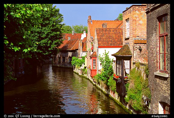 Canal lined with houses and trees. Bruges, Belgium (color)