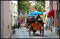 Horse carriage in a narrow street. Bruges, Belgium (color)