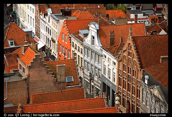 Red tile rooftops and facades. Bruges, Belgium (color)