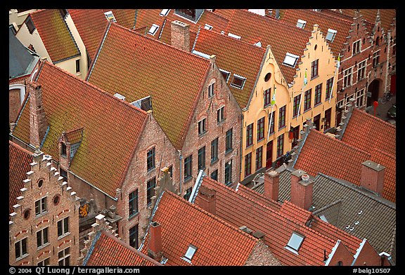 Rooftops. Bruges, Belgium