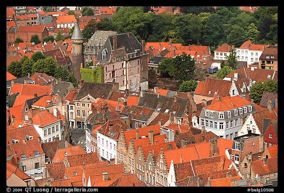 Houses and castle. Bruges, Belgium