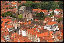 Houses and castle. Bruges, Belgium ( color)