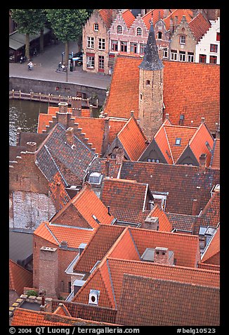 Rooftops. Bruges, Belgium (color)