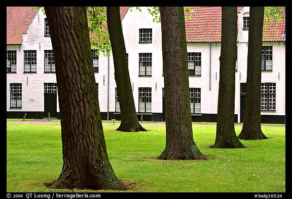 Courtyard of the Begijnhof. Bruges, Belgium (color)