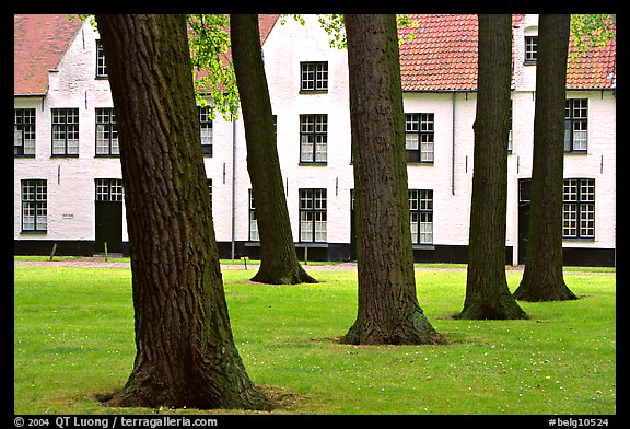 Courtyard of the Begijnhof. Bruges, Belgium