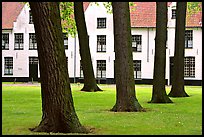 Courtyard of the Begijnhof. Bruges, Belgium ( color)