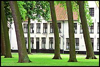 Grassy square in Beguinage (Begijnhof). Bruges, Belgium