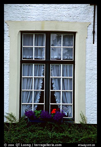 Window, Beguinage. Bruges, Belgium