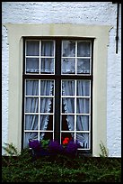 Window, Beguinage. Bruges, Belgium (color)