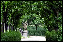 In the Residenz gardens. Wurzburg, Bavaria, Germany ( color)