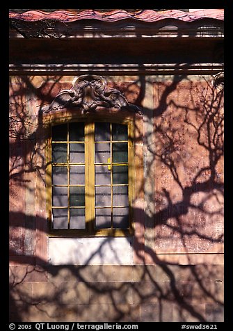 Wall and tree shadaw, royal residence of Drottningholm. Sweden (color)