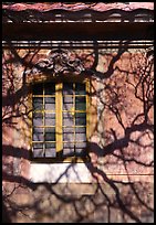 Wall and tree shadaw, royal residence of Drottningholm. Sweden ( color)