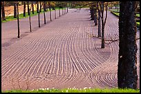 Raked sand in the garden of the 12th century church in Gamla Uppsala. Uppland, Sweden ( color)