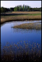 Pond. Gotaland, Sweden