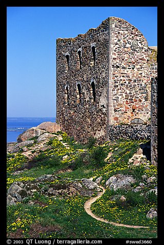 Ruins of the 16th century castle Brahehus near Granna. Gotaland, Sweden