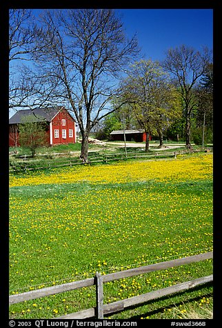 Pasture and farm. Gotaland, Sweden (color)