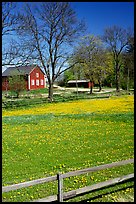Pasture and farm. Gotaland, Sweden (color)