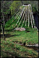 Traditional hut covered with grass, Skansen. Stockholm, Sweden ( color)