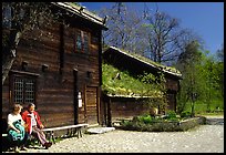 Traditional house with roof covered in grass, Skansen. Stockholm, Sweden