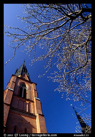 Cathedral in French gothic style, Uppsala. Uppland, Sweden (color)