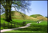 The three great grave mounds at Gamla Uppsala, said to be the howes of legendary pre-Vikings kings. Uppland, Sweden (color)