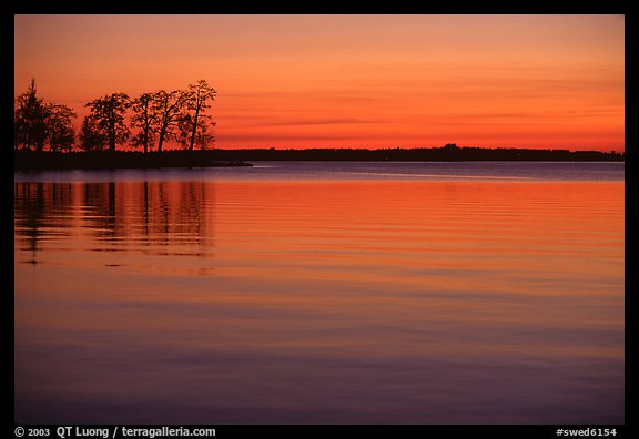 Trees and sunset on Vattern Lake, Vadstena. Gotaland, Sweden (color)