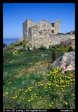 Ruins of the 16th century castle Brahehus near Granna. Gotaland, Sweden (color)