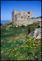 Ruins of the 16th century castle Brahehus near Granna. Gotaland, Sweden (color)