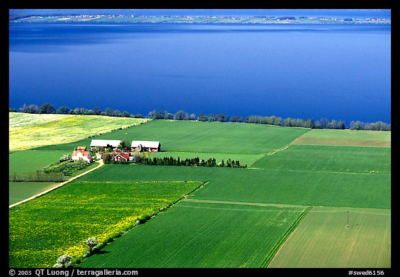 Fields bordering lake Vattern near Granna. Gotaland, Sweden