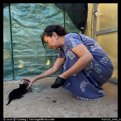 July 27, 2025.  (color)