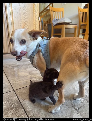 July 28, 2025.  (color)