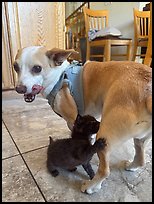 July 28, 2025.  ( color)