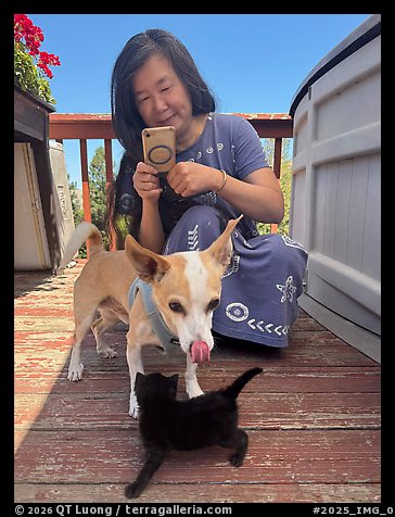 July 28, 2025.  (color)