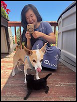 July 28, 2025.  ( color)