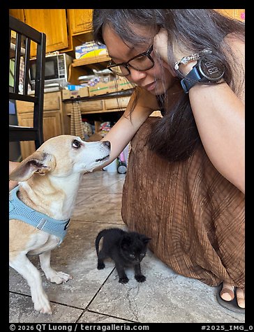 July 28, 2025.  (color)