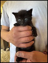 July 30, 2025.  ( color)