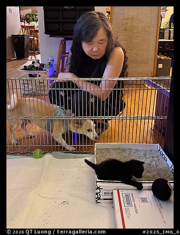 August 1, 2025.  (color)