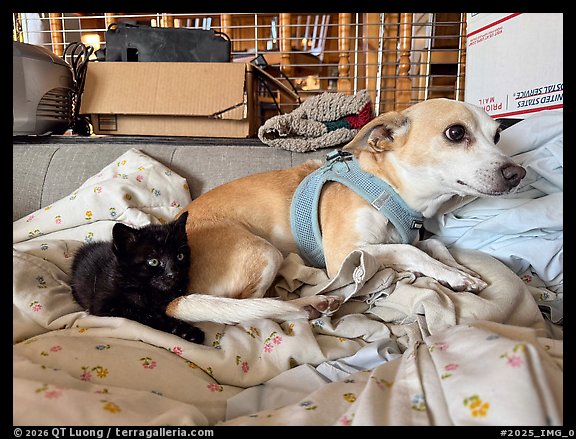 August 5, 2025.  (color)