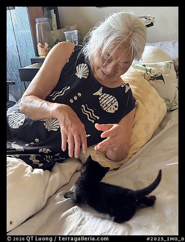 August 7, 2025.  (color)