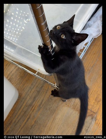 September 8, 2025.  (color)