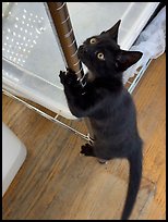 September 8, 2025.  ( color)